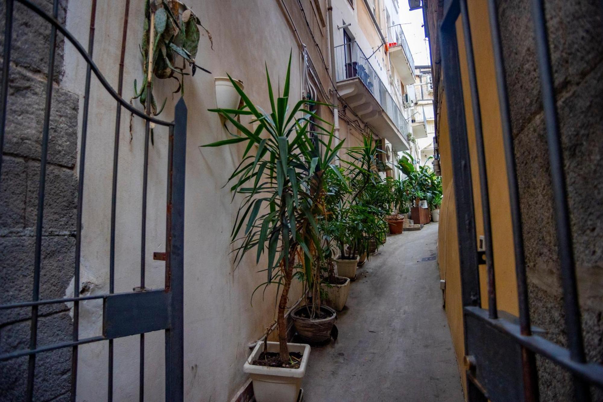 Katane' Room'S Katanya Dış mekan fotoğraf