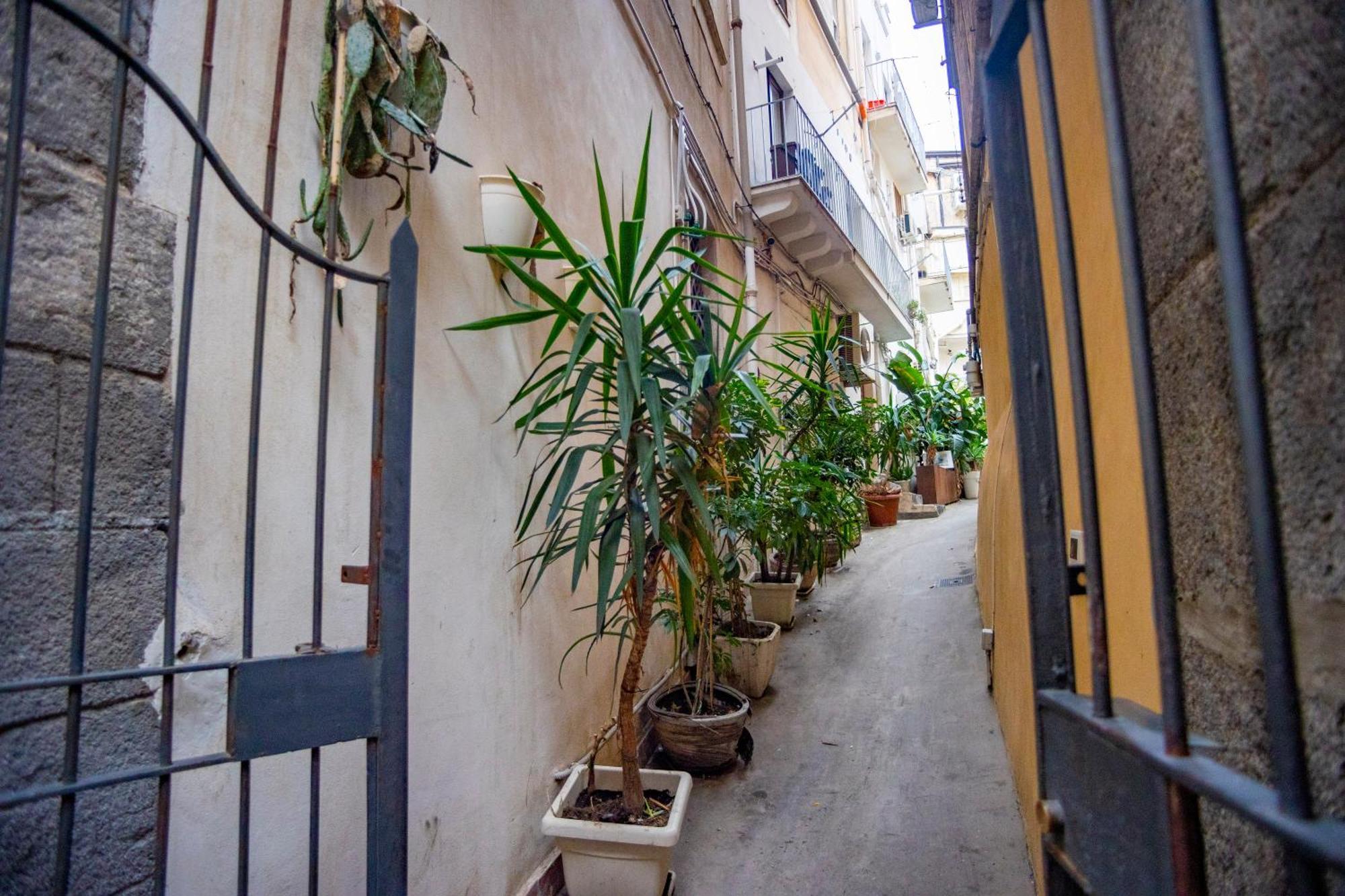 Katane' Room'S Katanya Dış mekan fotoğraf